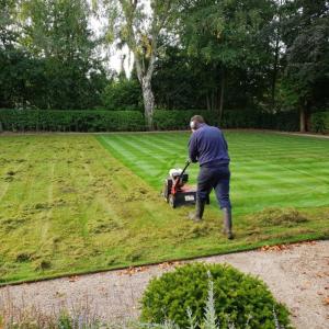 Scarifying Lawn
